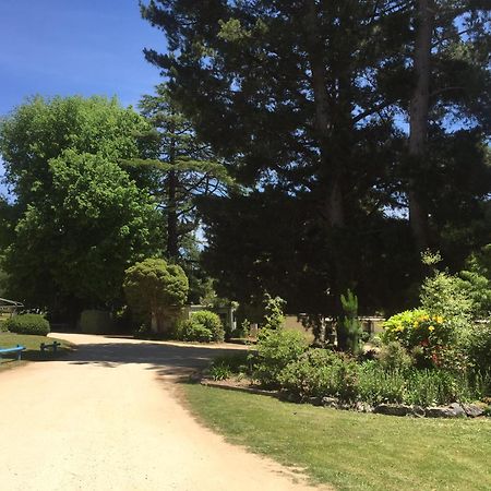 Daylesford Holiday Park ภายนอก รูปภาพ